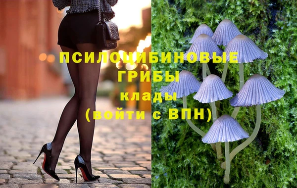 ПСИЛОЦИБИНОВЫЕ ГРИБЫ Балабаново