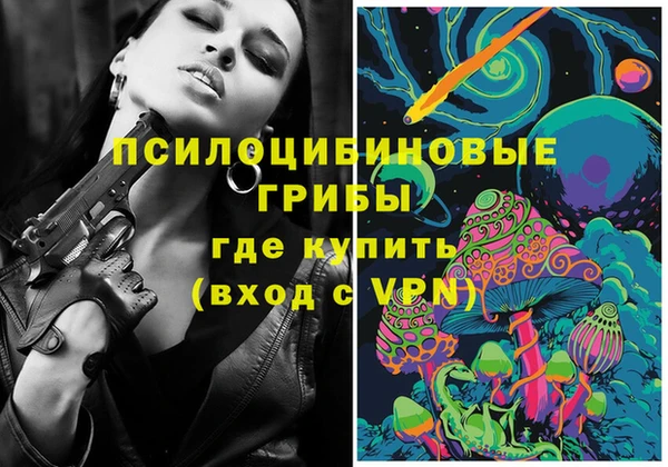 стаф Балахна