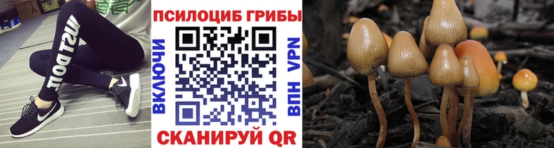 Галлюциногенные грибы Cubensis  Купить закладки  Певек 